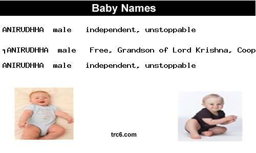 anirudhha baby names